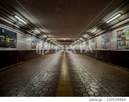 JR東日本尾久車両センターを横断する地下道【尾久構内架道橋】 JR東日本尾久車両センターを横断する地下道【尾久構内架道橋】 120539464