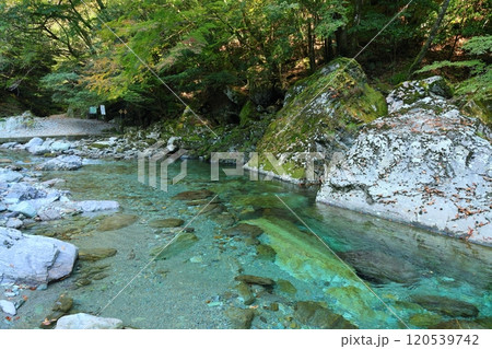 安居渓谷(仁淀ブルー)/【高知県仁淀川町】 安居渓谷(仁淀ブルー)/【高知県仁淀川町】 120539742