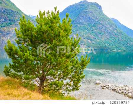 Mountains and lake in Norway, 120539784