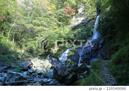 安居渓谷「飛龍の滝」（仁淀ブルー）／【高知県仁淀川町】 120540098