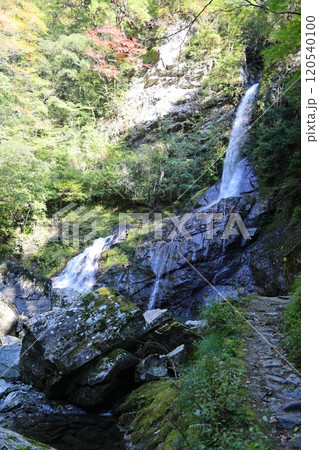 安居渓谷「飛龍の滝」(仁淀ブルー)/【高知県仁淀川町】 安居渓谷「飛龍の滝」(仁淀ブルー)/【高知県仁淀川町】 120540100