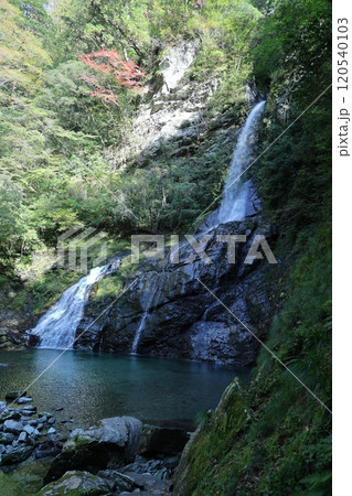 安居渓谷「飛龍の滝」(仁淀ブルー)/【高知県仁淀川町】 安居渓谷「飛龍の滝」(仁淀ブルー)/【高知県仁淀川町】 120540103