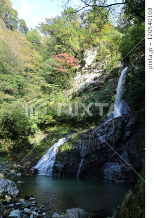 安居渓谷「飛龍の滝」（仁淀ブルー）／【高知県仁淀川町】 120540108