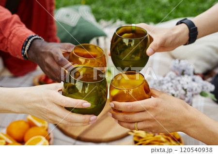 Multiracial group raising glasses of fresh orange juice outdoors while enjoying picnic and togetherness, highlighting diversity and unity in social gathering Multiracial group raising glasses of fresh orange juice outdoors while enjoying picnic and togetherness, highlighting diversity and unity in social gathering 120540938