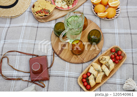 Overhead view of a picnic spread featuring a variety of snacks, a jug of mint water, and sliced fruits arranged on a plaid blanket, with a brown camera bag present 120540961