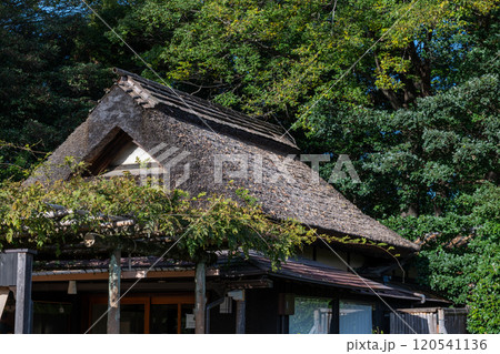 日本の岡山県岡山市の古くてとても美しい建物 120541136