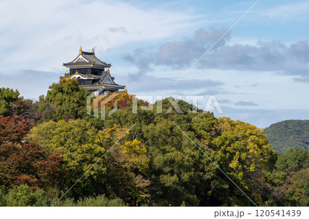 日本の岡山県岡山市の後楽園の美しい秋の風景 120541439
