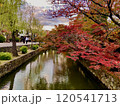 紅葉と水路のある風景 120541713