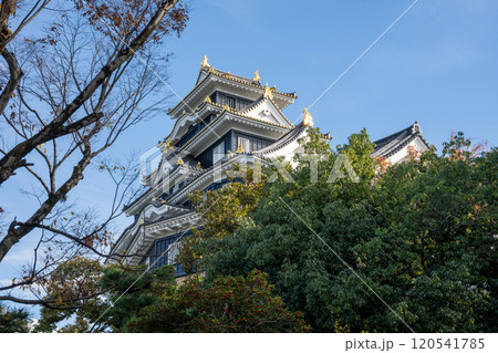日本の岡山県岡山市の岡山城の美しい秋の風景 日本の岡山県岡山市の岡山城の美しい秋の風景 120541785