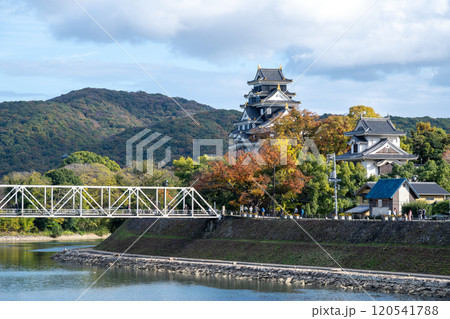 日本の岡山県岡山市の岡山城の美しい秋の風景 120541788