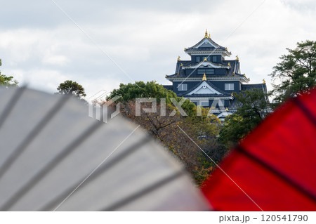 日本の岡山県岡山市の岡山城の美しい秋の風景 120541790