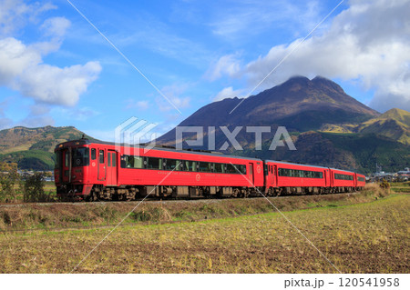 色付き始めの由布岳と赤い特急列車(JR九州 キハ185系) 色付き始めの由布岳と赤い特急列車(JR九州 キハ185系) 120541958
