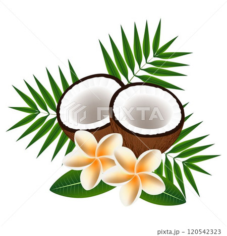 Flowers frangipani (Plumeria) with coconuts and leaves. Flowers frangipani (Plumeria) with coconuts and leaves. 120542323