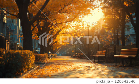 【イチョウ】紅葉したイチョウ並木道 120542340