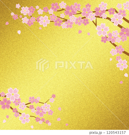 桜の花と金屏風の様な背景(アンティークゴールド)正方形 120543157