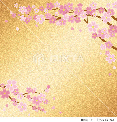 桜の花と金屏風の様な背景(シャンパンゴールド)正方形のイラスト素材
