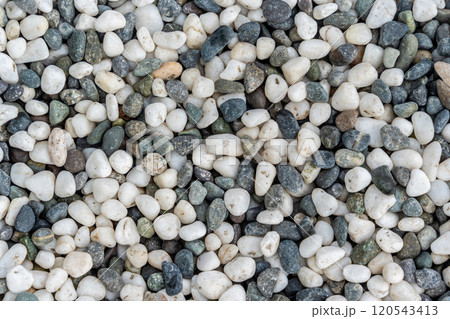 敷き詰めた白黒の玉砂利 120543413