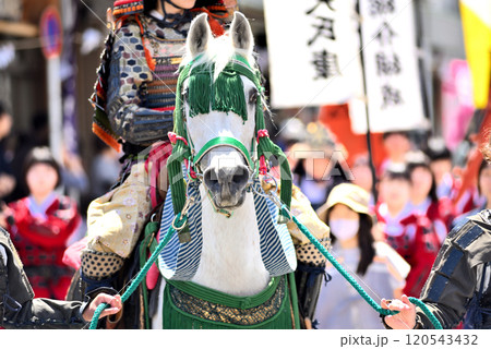 関東・小田原北条五代祭り(北條五代祭り)・戦国時代の武者行列、馬と大将・神奈川県小田原市(1) 120543432