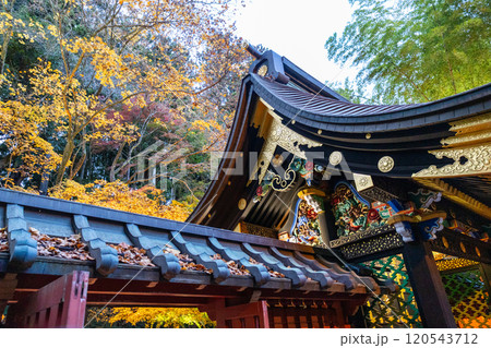 紅葉のライトアップされた瑞鳳殿 紅葉のライトアップされた瑞鳳殿 120543712