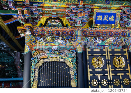 紅葉のライトアップされた瑞鳳殿 120543724