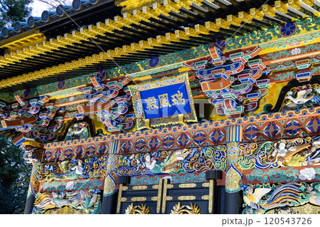 紅葉のライトアップされた瑞鳳殿 120543726