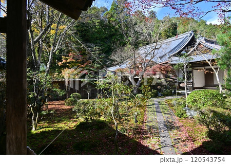京都高雄　神護寺 120543754