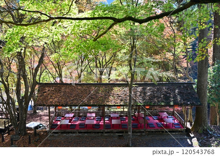 京都高雄 神護寺 京都高雄 神護寺 120543768