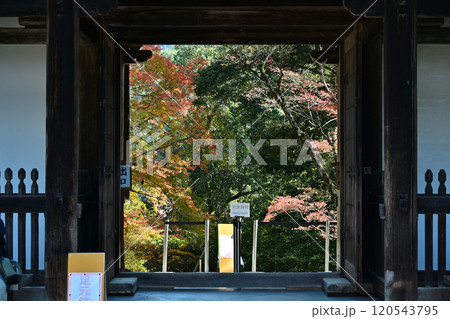 京都高雄 神護寺 京都高雄 神護寺 120543795