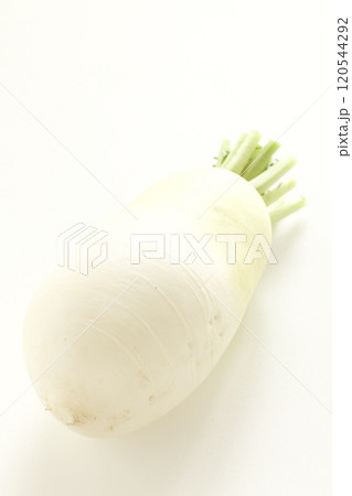 太い大根 120544292