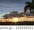 南国の椰子の木と夕日 120544561