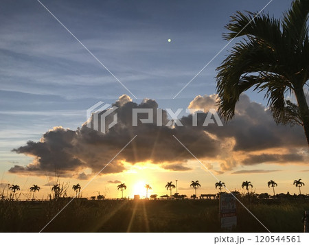 南国の椰子の木と夕日 南国の椰子の木と夕日 120544561