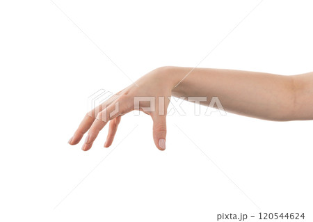 Young woman hand holding something with fingers from the top isolated on white background 120544624