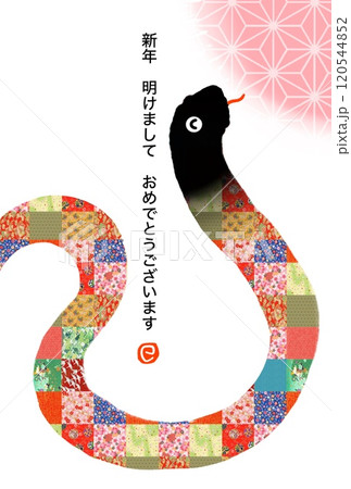 巳年年賀状 巳年年賀状 120544852