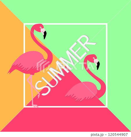 Summer banner with pink flamingos. 120544907