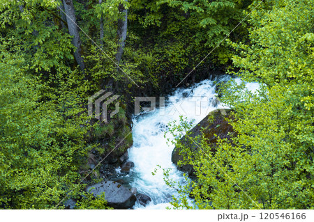 Scenery of mountain stream surrounded by fresh greenery that shines through the sunlight filtering through the foliage. mountain stream in the summer. 120546166