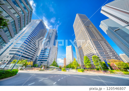 東京・新宿超高層ビル群 東京・新宿超高層ビル群 120546807