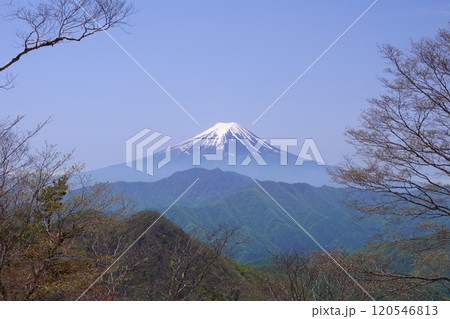 大蔵高丸から見た富士山 大蔵高丸から見た富士山 120546813