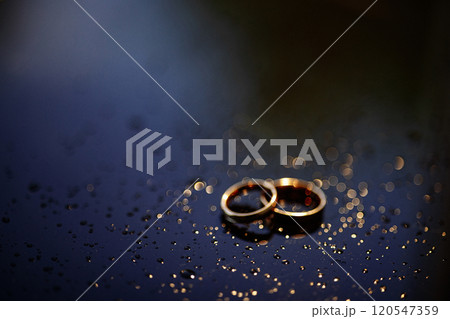 Two gold wedding rings lie on a dark wet surface 120547359