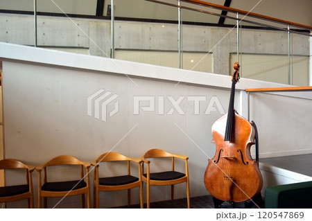 チェロ 楽器 音楽 チェロ 楽器 音楽 120547869