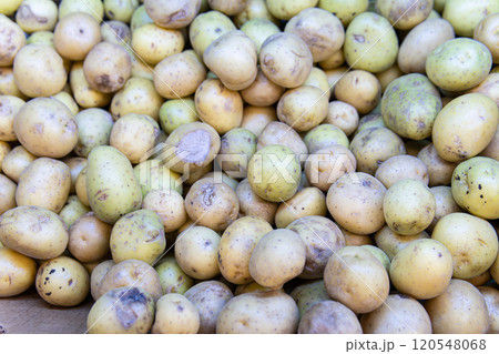 ingredient fresh root vegetarian agriculture organic food raw background vegan nutrition vegetable ingredient fresh root vegetarian agriculture organic food raw background vegan nutrition vegetable 120548068