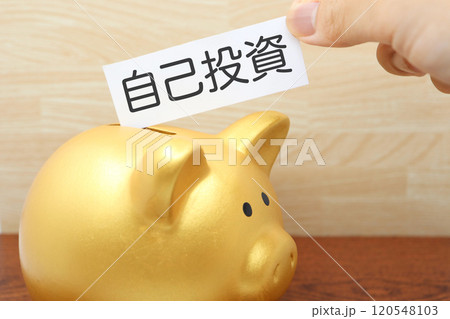 自己投資のイメージ　豚の貯金箱	 120548103