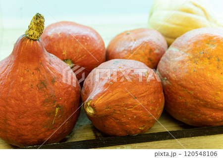 agriculture farm orange harvest food market holiday october halloween decoration 120548106