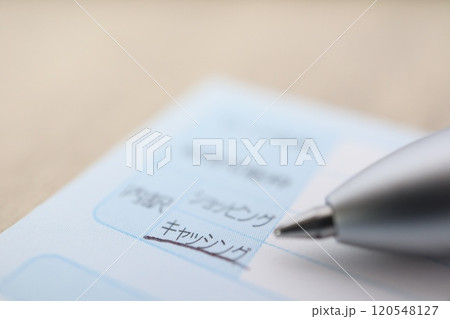 クレジットカード明細書 キャッシング クレジットカード明細書 キャッシング 120548127