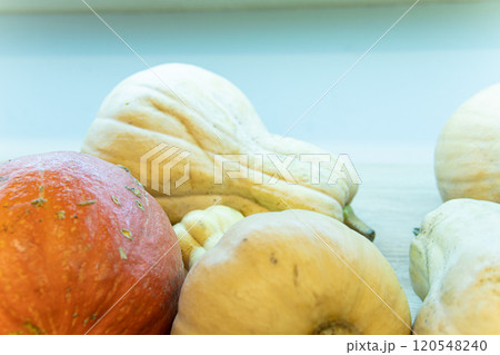 october farmers fresh harvest market season white produce background rustic seasonal 120548240
