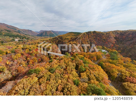 紅葉の鳴子峡 空撮 紅葉の鳴子峡 空撮 120548859