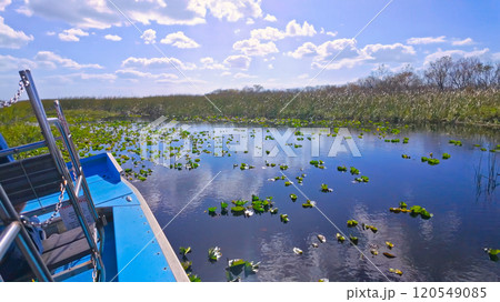Airboat Ride through the Swamps and grasslands of Florida 120549085