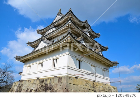 宇和島城 天守閣 120549270
