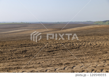fertile soil in spring during the preparation for sowing fertile soil in spring during the preparation for sowing 120549355