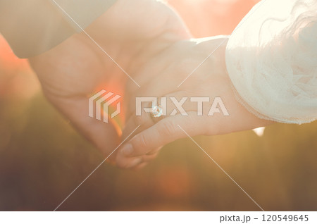 Couple holding hands at sunset Couple holding hands at sunset 120549645