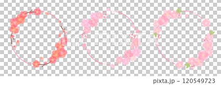 梅・桃・桜の丸フレーム 梅・桃・桜の丸フレーム 120549723